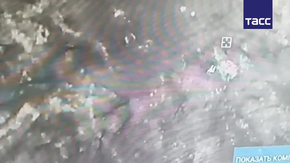 Российские операторы дронов из группировки "Север" уничтожили в Харьковской области скопление живой силы ВСУ, сообщили в МО РФ