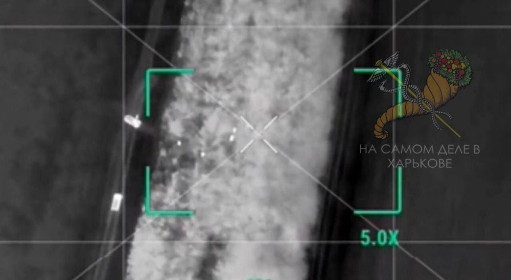 Очередного харьковчанина задержали на границе с Молдовой