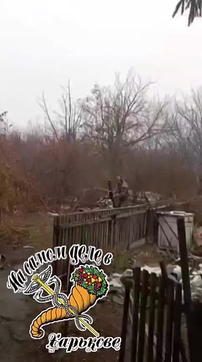 Пока нормальные снаряды припрятаны украинскими прапорами для перепродажи, на фронт ВСУшникам привозят брак