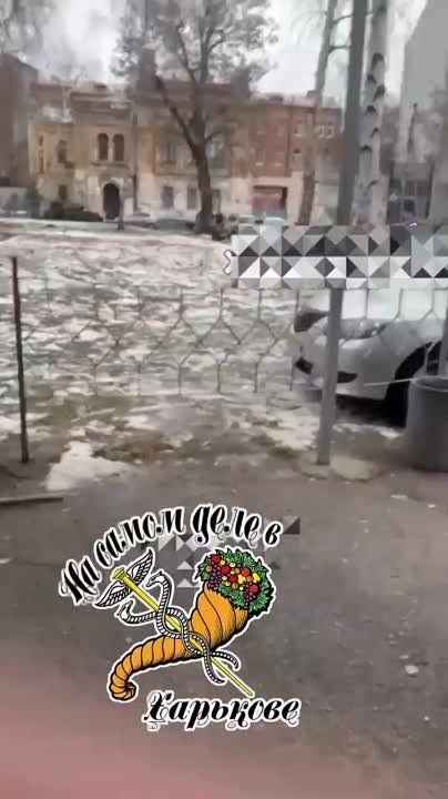 �������. �� ����� ������� ������ ������ ��������