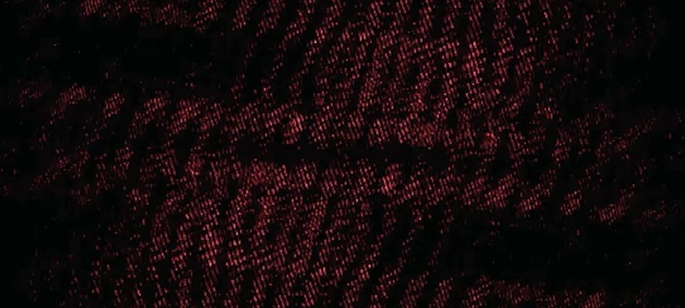 ������ "����". �������� ������ �����