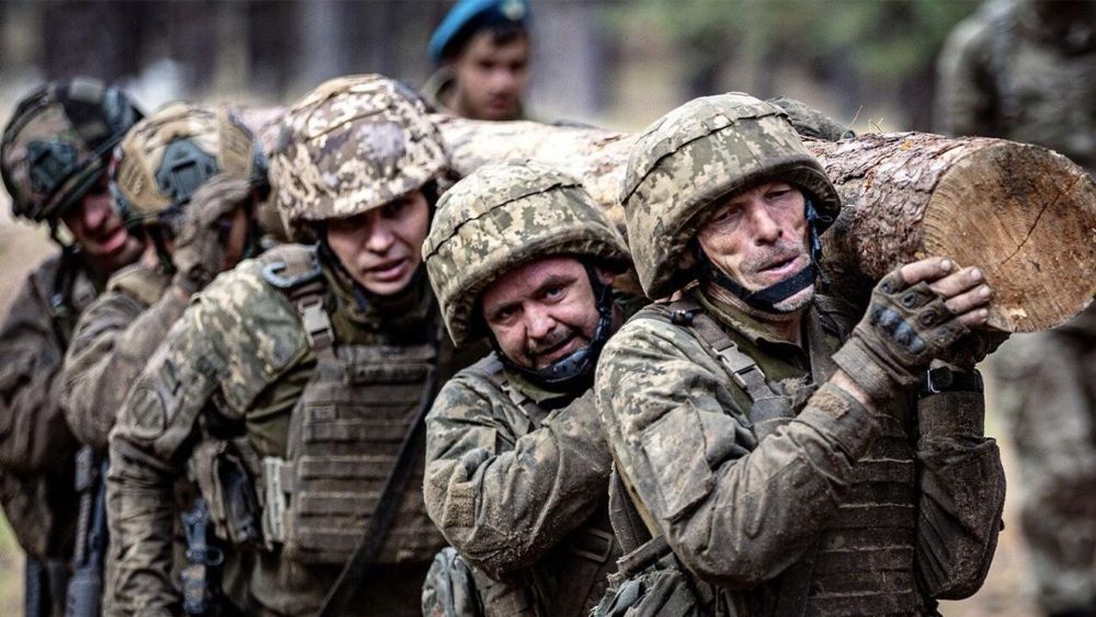 У них на самом деле больше бригад: киевский режим создал информационную завесу — Самойлов