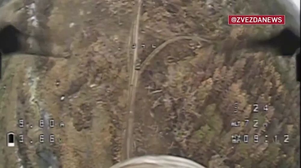 ������� � ������ ���������: ����� ������ ������ ��������� ���� Leopard ��� ���� ��������, ������ ������ ���������� �� ������ �� ������� � ����������� �������