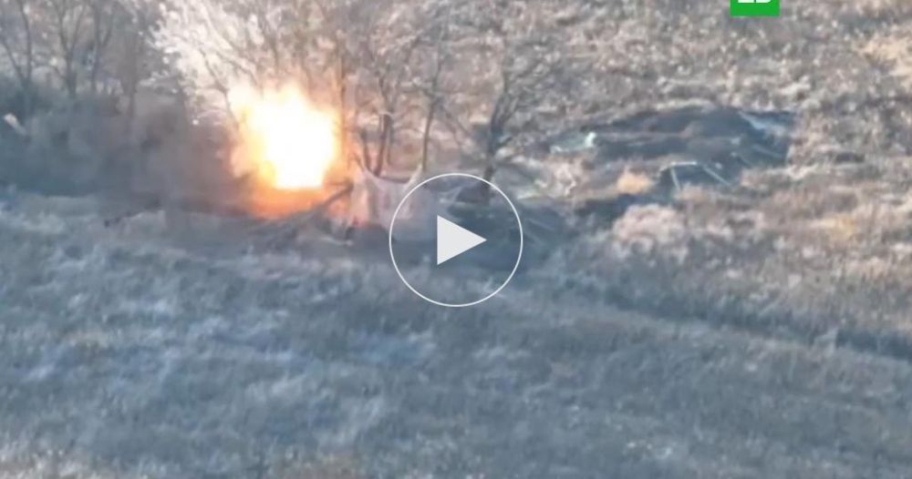 ���������� ����� �������� ����������� � ���� ������ ���