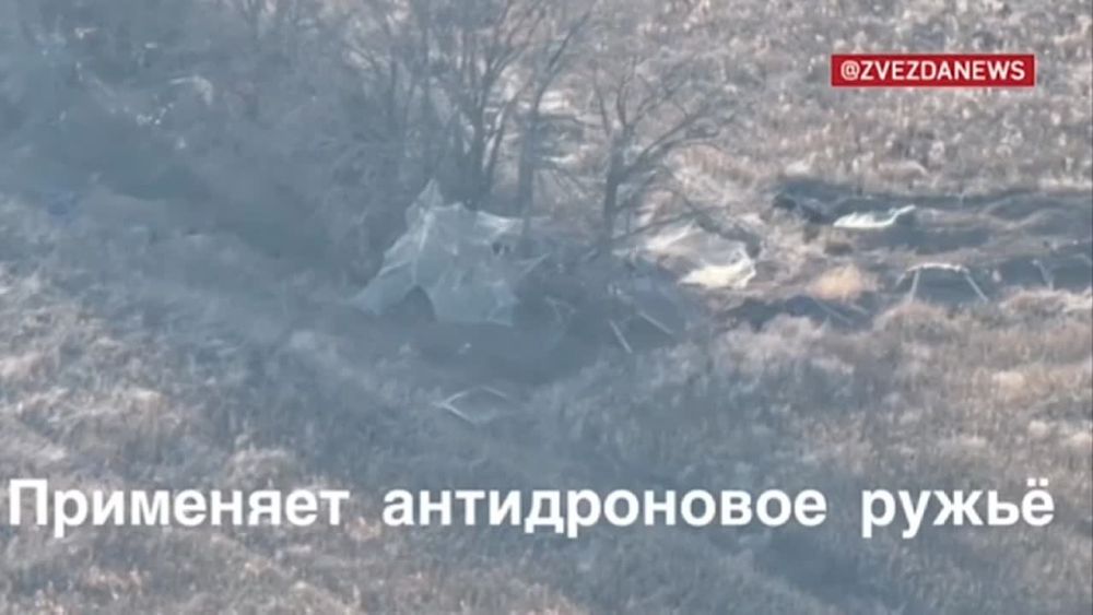 ������� �������: ���������� �� �������.. ������� ���������� �������� ���������� ����� ������ ��������� ����� FPV-������ � ����������� �������