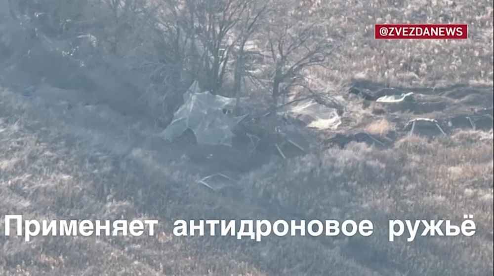 ���������� �� �������: ������� ���������� �������� ���������� ����� ������ ��������� ����� FPV-������ � ����������� �������