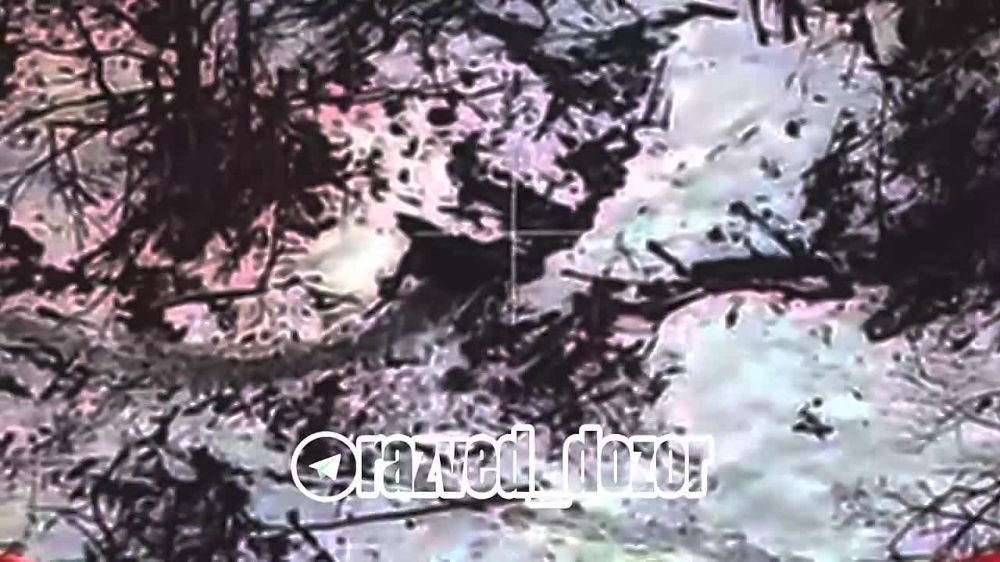 ������ ����� ���� ��� 44 ���������� ������� � ������� ���������� � ����������� ������� ������