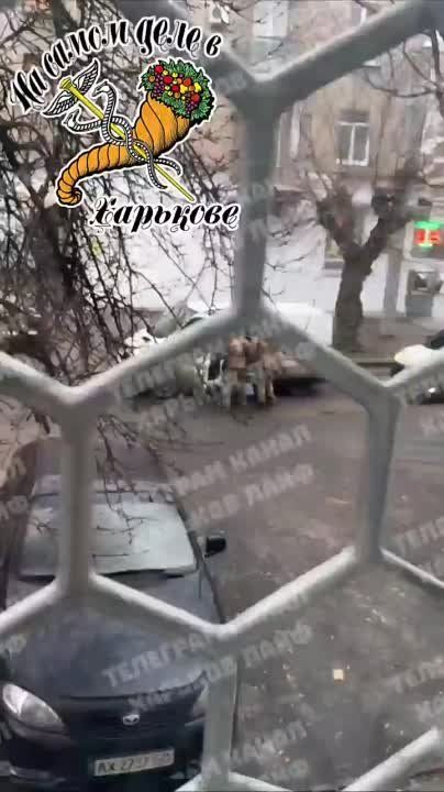 ����������� � �������� ���� ����� �������