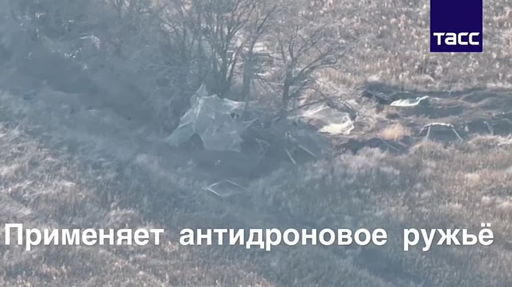 ������� FPV-������ ����������� ����� "�����" ������ ���������� ���������� ������ ������� ���, ��������������� � ����������� �������