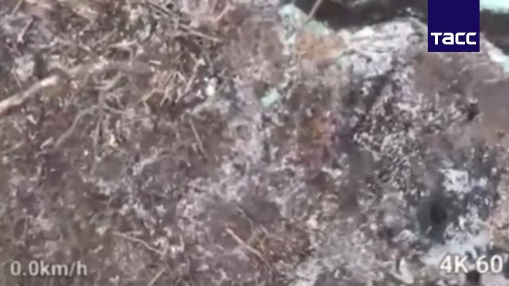 ���������� ��������� ������ ����� 4 ������� ��� ��������� ������� � ����������� �������