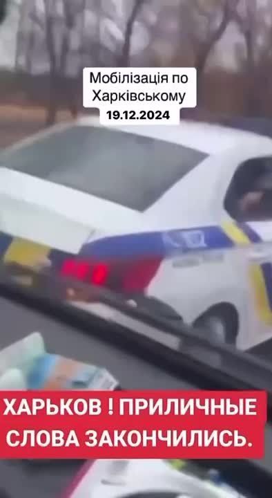 ������ ���������: ������ ���, �������