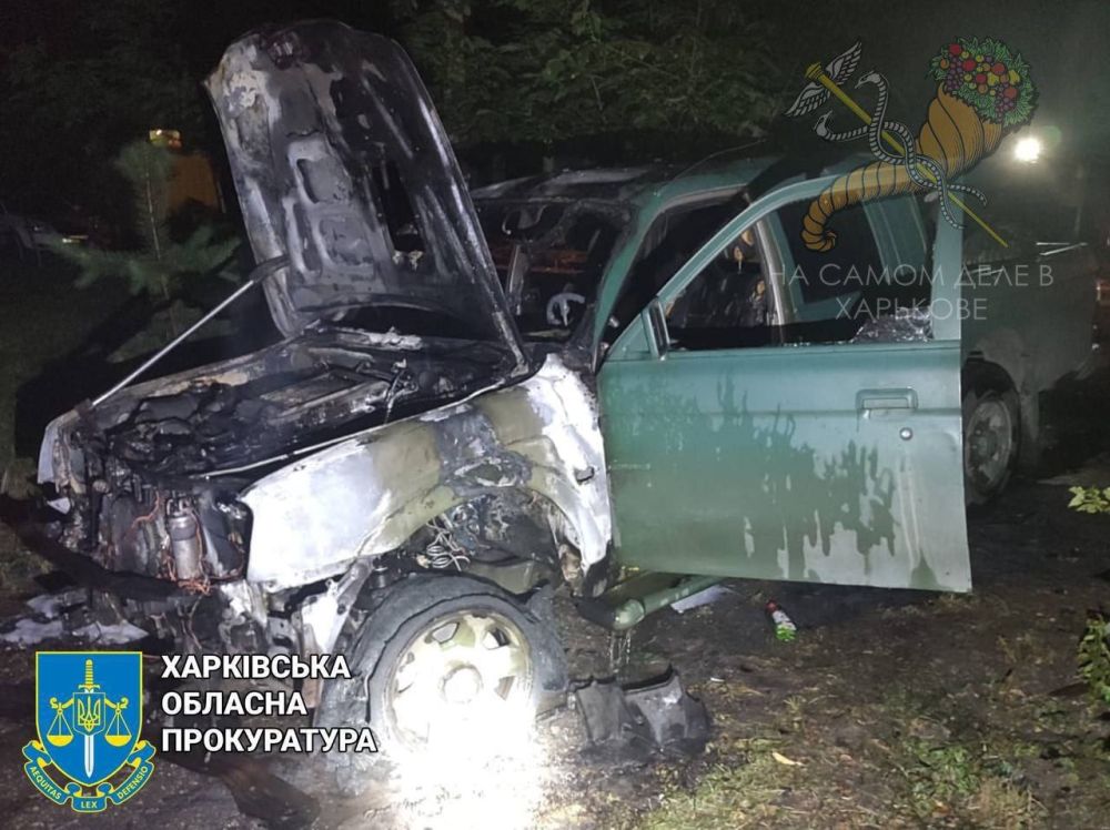 � ��������, ���� ����������-������������ ����������� � ������� ���� ������� ����������� ���������