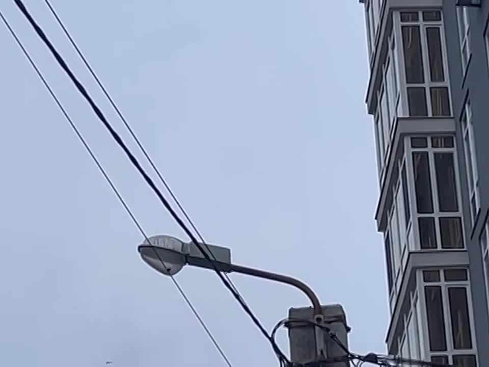 "������" ��� ���������