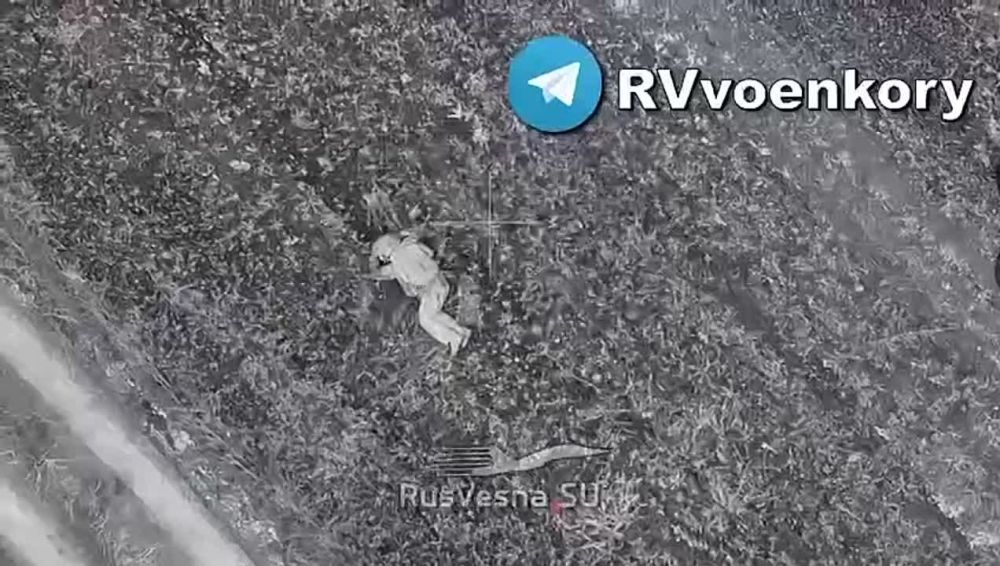 Кадры из приграничной Харьковской области, где боевикам ВСУ не удалось дойти к Белгородской границе