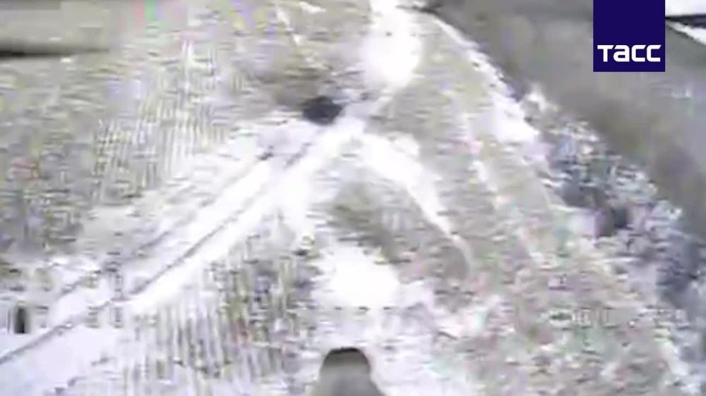 ������ ������������ ����������� ����� "�����" ��������� ���� ��� � ����������� �������