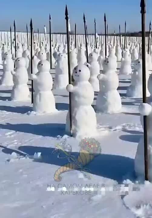 ���������� �������� ������� ������ ����������� �������������� ����������� ����� �������� �����