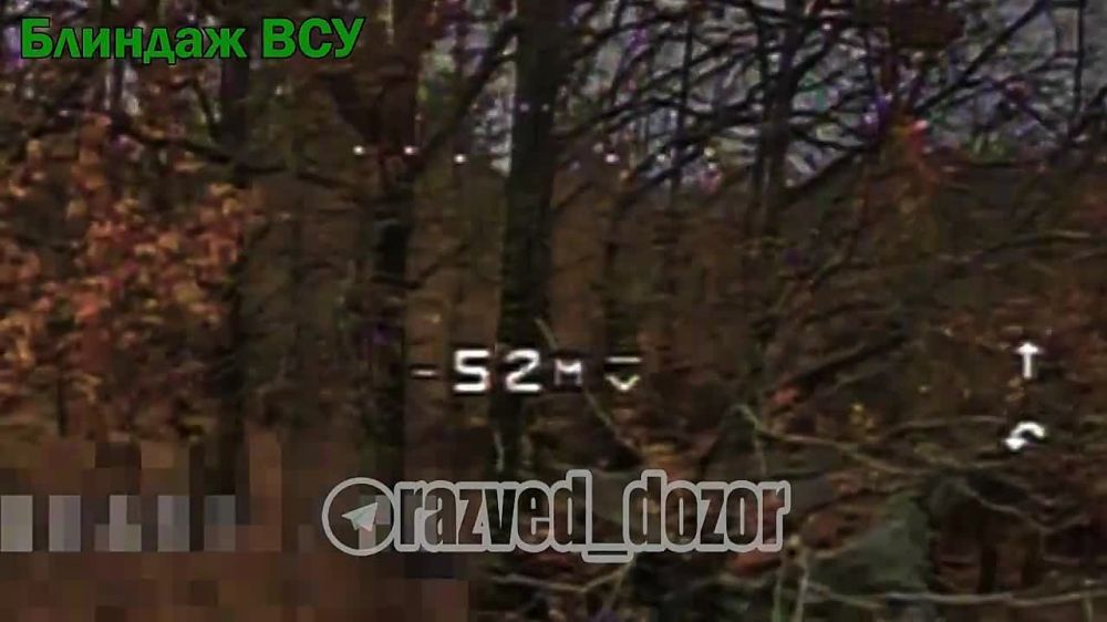 Операторы FPV группировки "Север" ударили тремя дронами-камикадзе по блиндажу ВСУ на Харьковском направлении