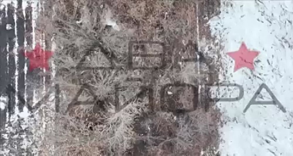 ��� ������: ��������� ���� �����, ������� ����������� � ������������ ��������