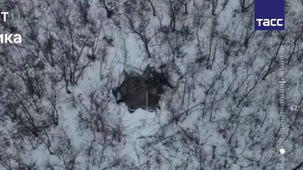 Российские операторы FPV-дронов уничтожили миномет на огневой позиции в Харьковской области, сообщили в Минобороны РФ