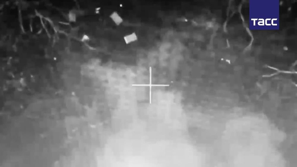 ����� "������" ���������� � ����������� ������� ����������� �������� ����� Starlink ������������� ���, �������� � �� ��