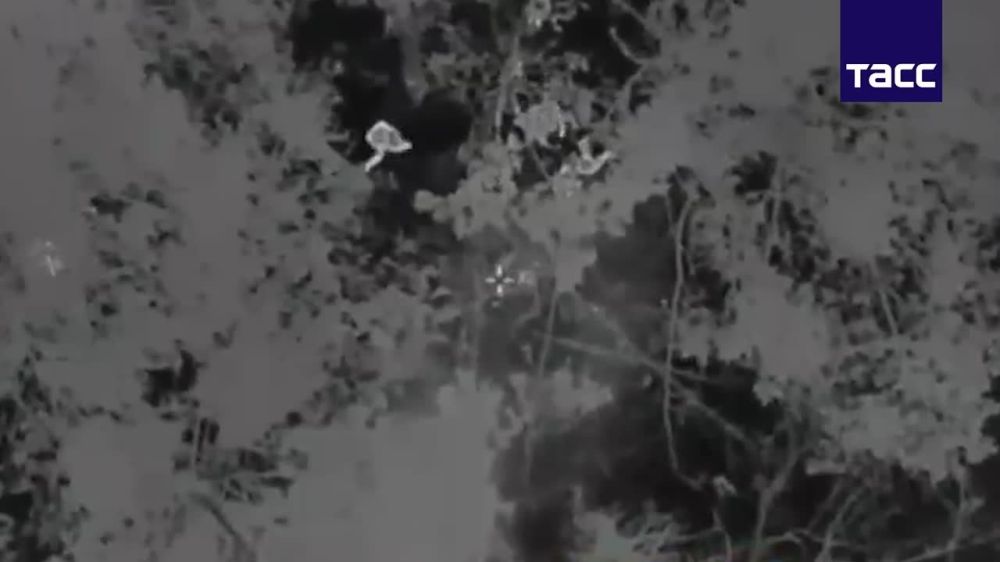 ���������� �������� ����������� ���������� ������� � ����������� ������� � ������� �������������