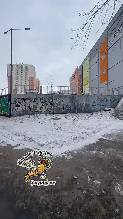 � �������� �������� 220 ������-���������, ������� ������� �����������.