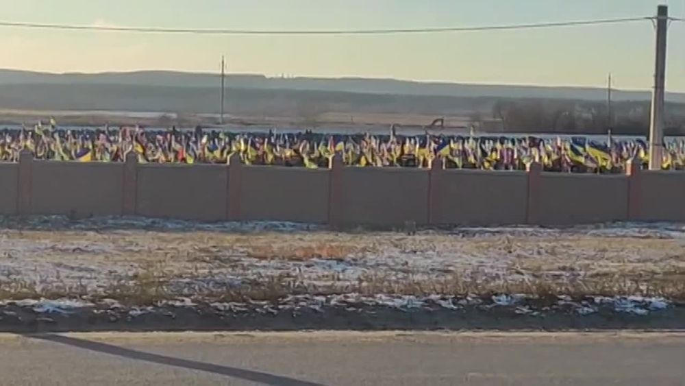 ������� ��������: �������, ��������.. ��� ������� �������� �����