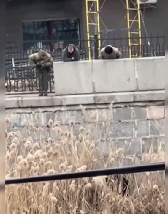 � �������� �������� ������� ��������� ������ � ������� ����� � ����� ���� �� ������ �������