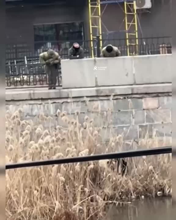 ���������� � � ����� "���������������" ������ ����������: