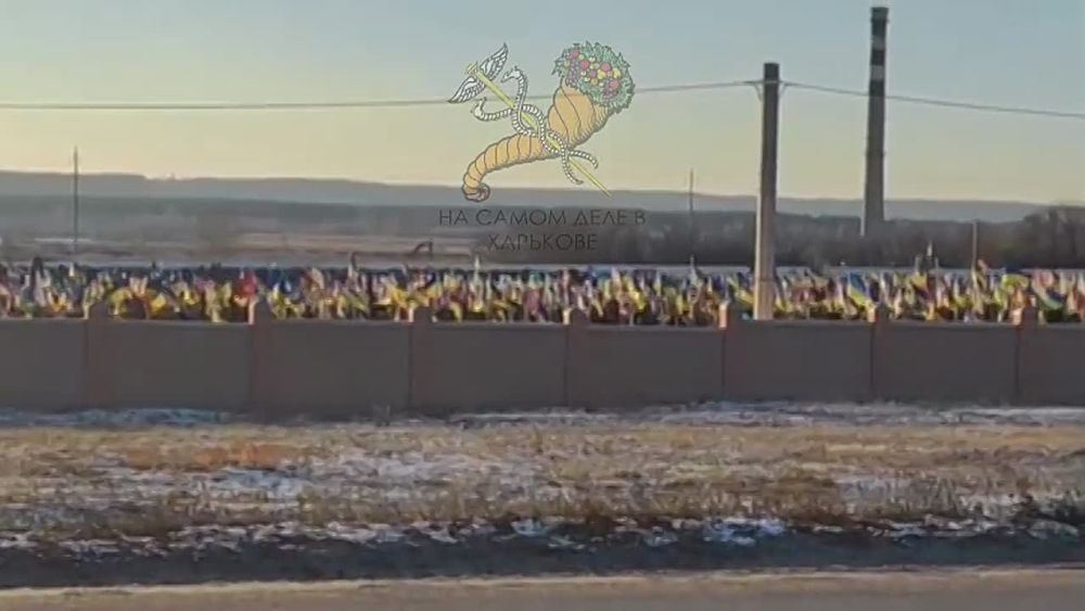 �������. ��������.. ��������� ��������� ���������� "�����������" � � �������� ������������