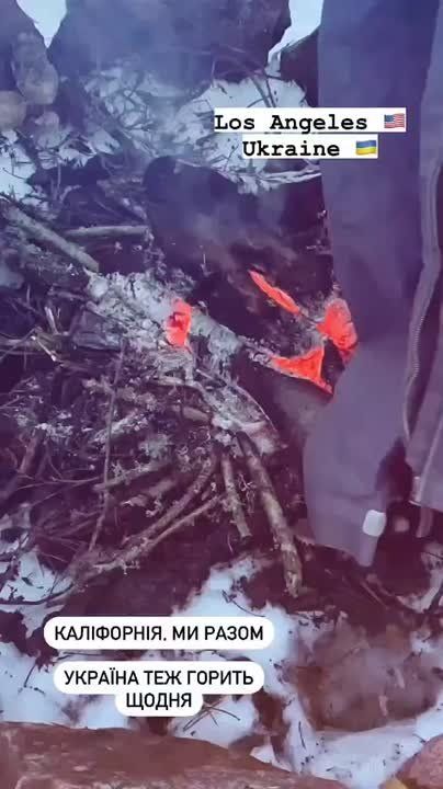 �������� ��������� �������� �������: � ���� ������������ � ���-���������� ������� �� ������ ���� ����