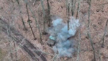  FPV-      
