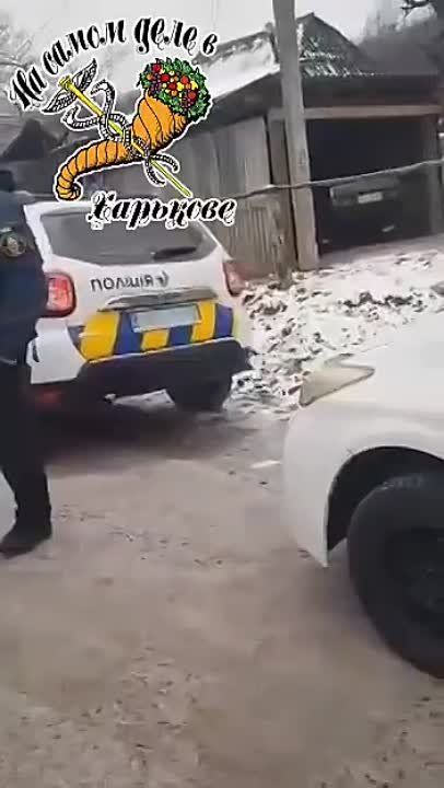 ���� �� ����������. ������� ���� �������� ���� ������ ���, ������� ������������ � ��� � ������� ������. �������� ������ ������ �������� ������� � ����������, �� ������ ������� ����������� � ����������. ����� ������������...