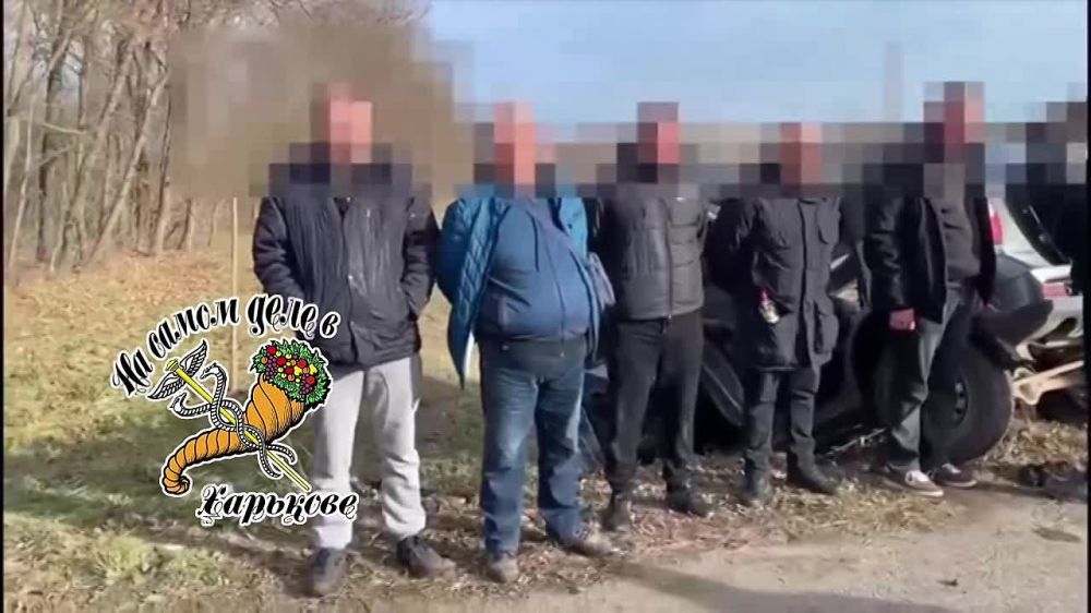 ������ ���������� ��������� ������� �� ������� ���� �����