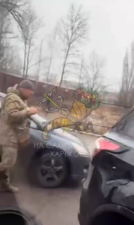 ����������-����������, �������� ��������� ������ ����� ���