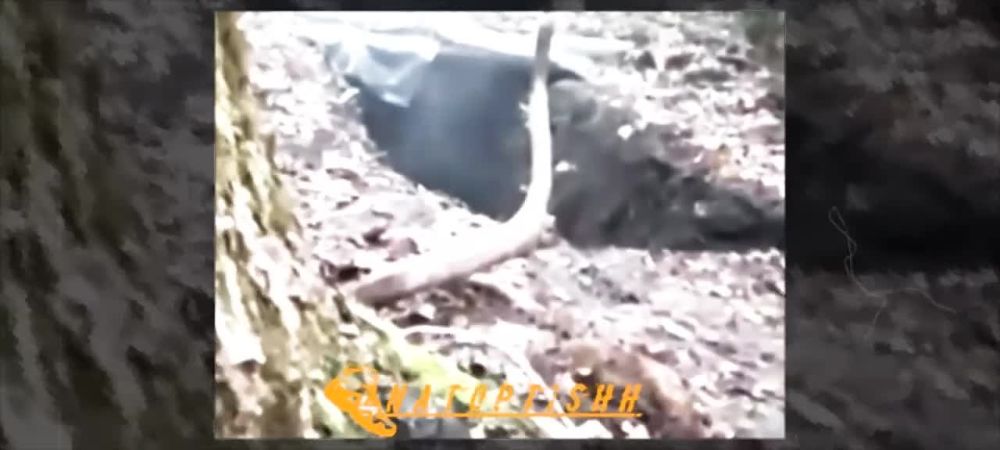 44-� ��������� ������ ������������� ������������� � ������