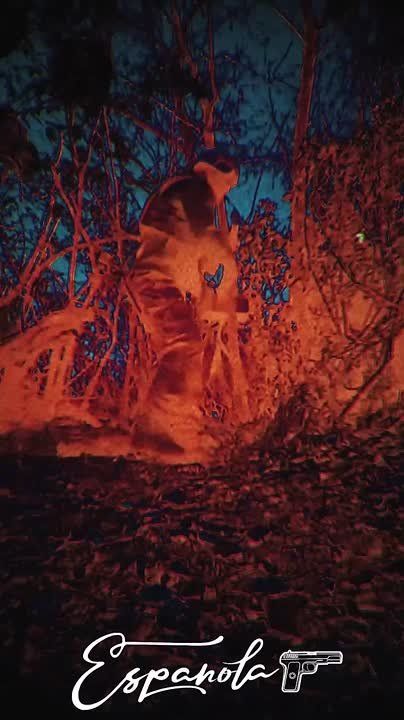 � ����������� ������ ������������ ����������� ������� ���� 11-������ ������� �������� � ��������� ���������