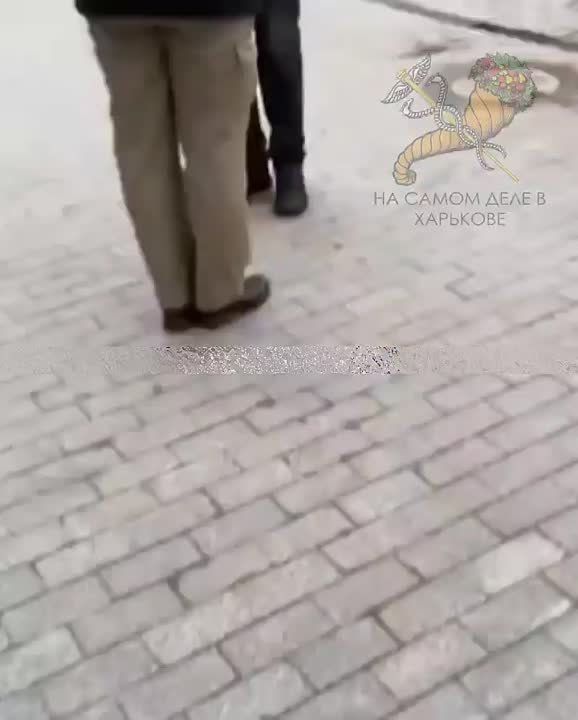 ����� ����� ������ ����-�����������