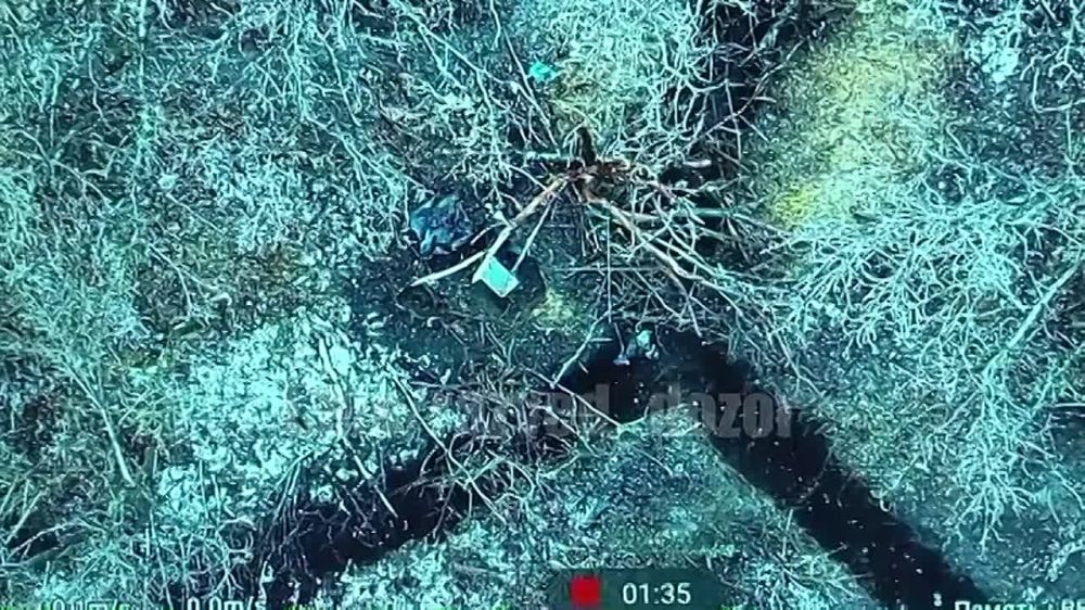 ����������� �������. ��������� ����������� "�����" ���������� ������, ��������� � �������� ����� ���