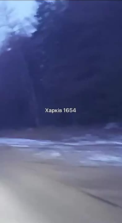        ( )