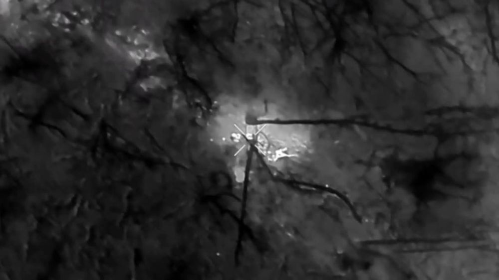 ������ ����� �� ������ ������ ���������� � ��� �113