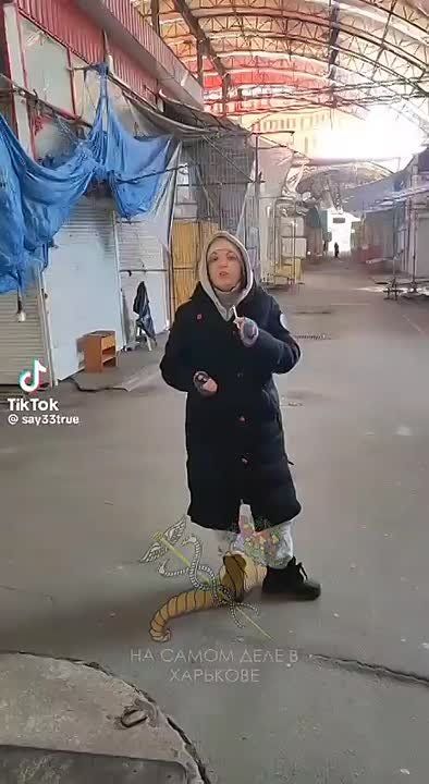 �������, ����������. ���������� � ������ �����������, ���� �� �������