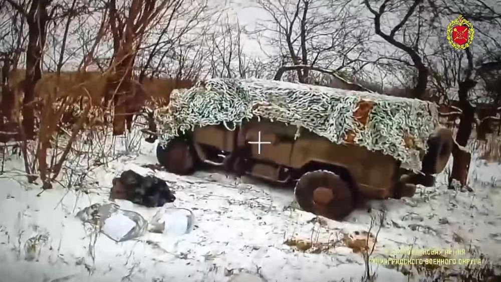 ��������, ���������, ��� ������ ���������