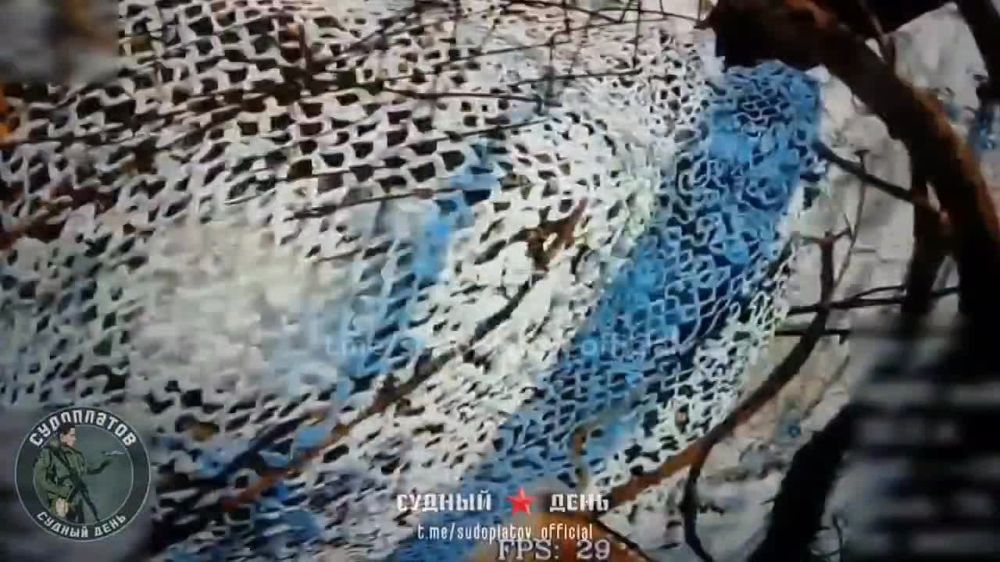 ����������� ��� ��� 2�1 "��������" �� ��������� �����������