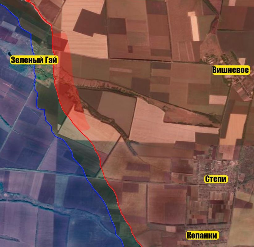 ����������� �����. ������������ ����������� ������������� �� �� ����������� �� �������� �������� ���, ��������� ���� ������� ������� ����������