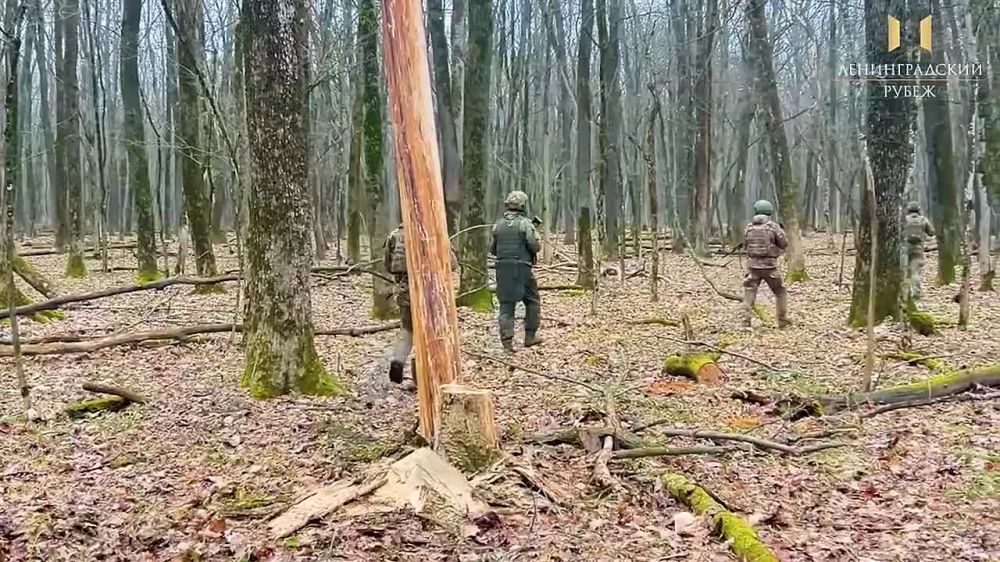 ���� ���� �� ����� �� ���: ��� ������� ����� ��������� � ���