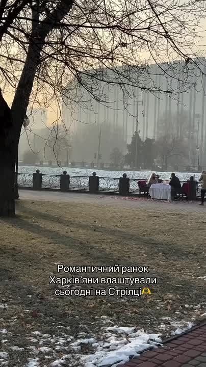 � ����������, �����������