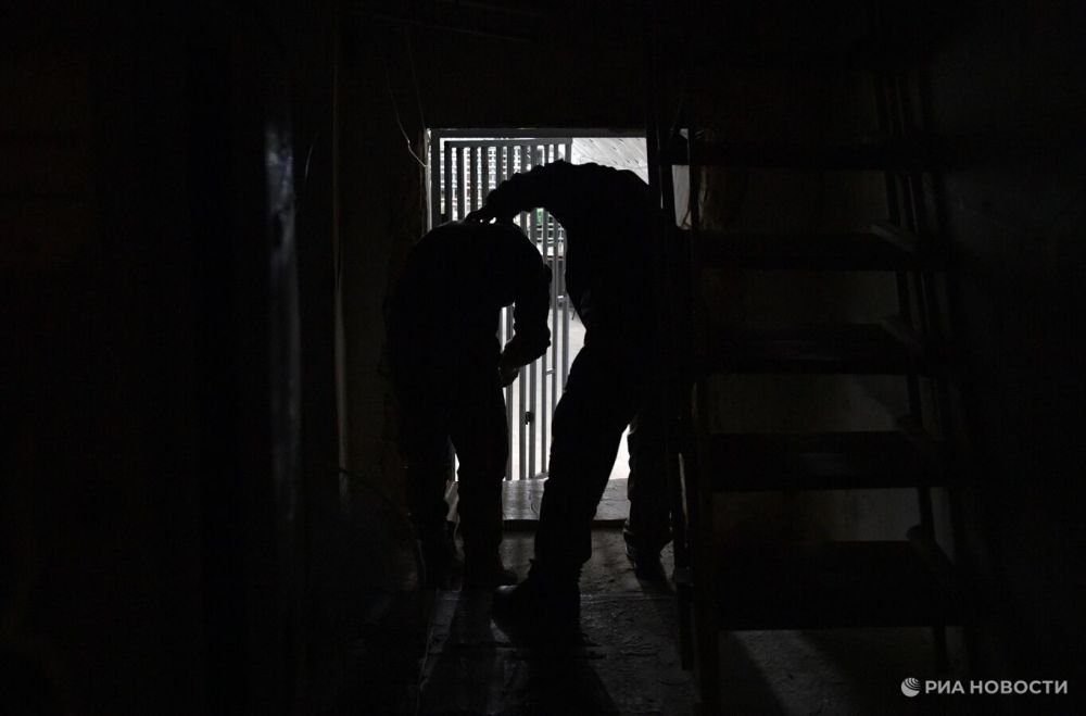 ���������� ������� ���������, ��� ��� ������������, �������� �� �������