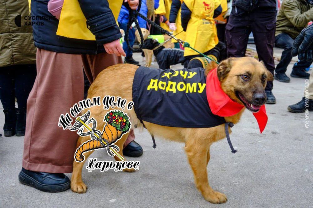 � �������� ������� ����� ����������� ��� ���������, ����� �������� �������� � ��������� ��������