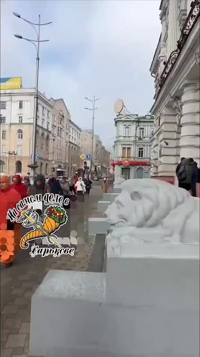 ����� ������� ������, ������� ������ ������ �����������